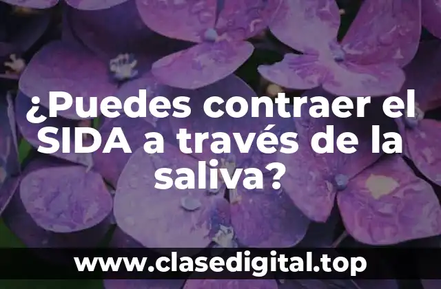¿Puedes contraer el SIDA a través de la saliva?