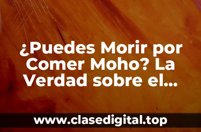 ¿Puedes Morir por Comer Moho? La Verdad sobre el Peligro del Moho en los Alimentos