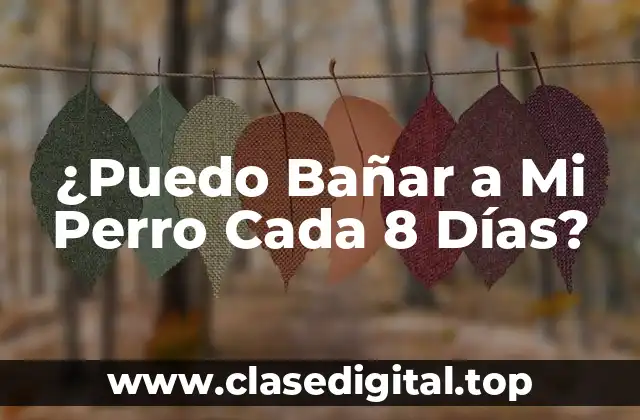 ¿Puedo Bañar a Mi Perro Cada 8 Días?