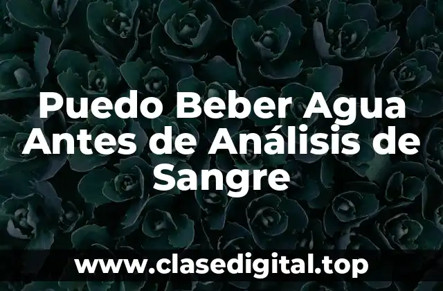 La Importancia de la Hidratación para la Salud