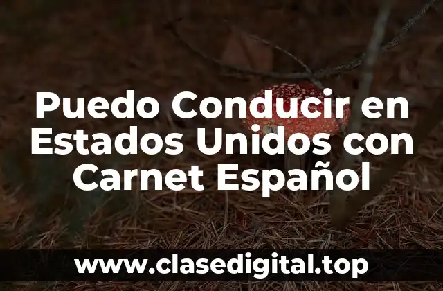 Puedo Conducir en Estados Unidos con Carnet Español
