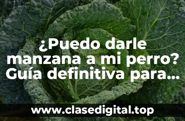 Los beneficios de las manzanas para perros