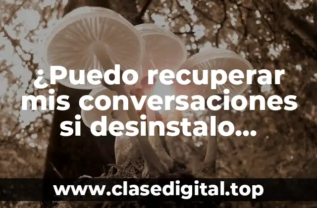 ¿Puedo recuperar mis conversaciones si desinstalo WhatsApp?