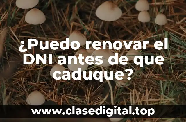 ¿Cuándo debo renovar mi DNI?