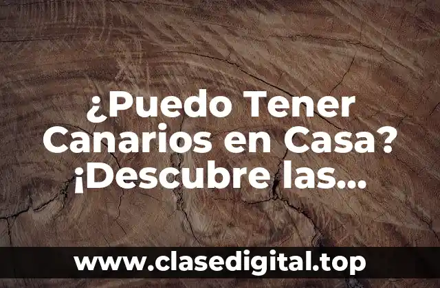 ¿Puedo Tener Canarios en Casa? ¡Descubre las Respuestas!