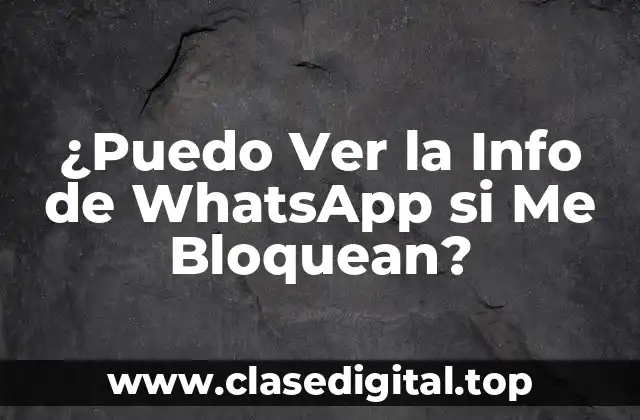 ¿Puedo Ver la Info de WhatsApp si Me Bloquean?