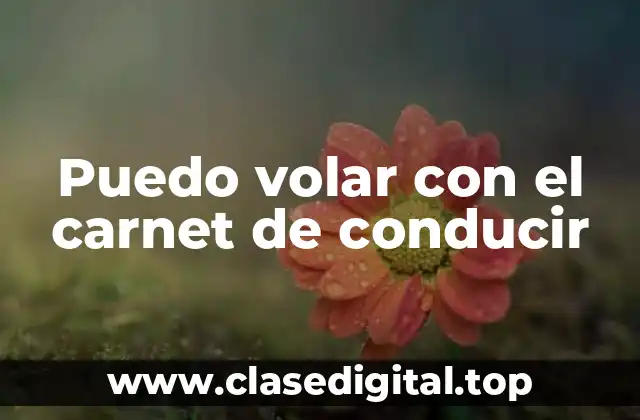 ¿Qué es un carnet de conducir y cuál es su relación con la aviación?