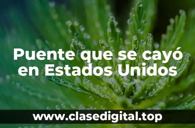 Puente que se cayó en Estados Unidos