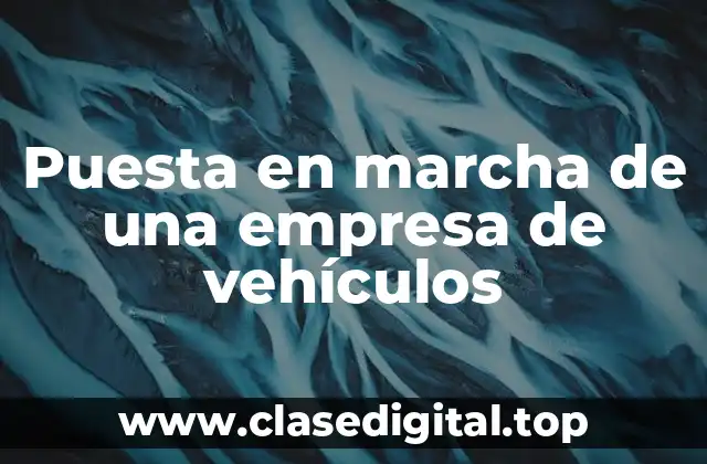 Ejemplos de puesta en marcha de una empresa de vehículos