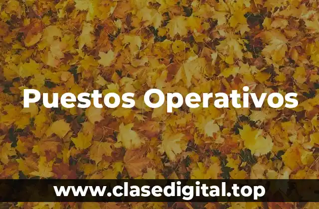 Puestos Operativos