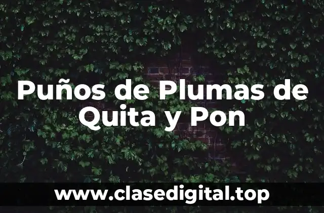 ¿Qué son los Puños de Plumas de Quita y Pon?