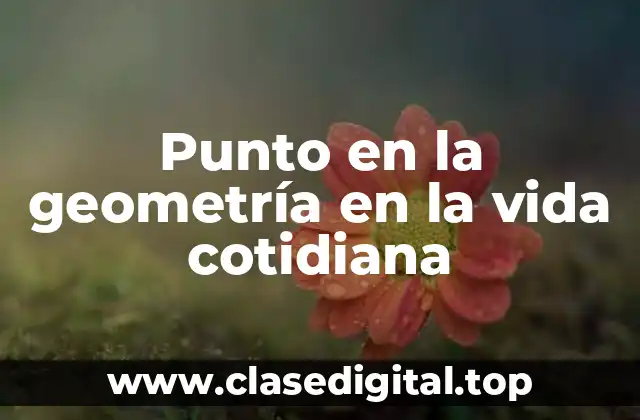 Ejemplos de punto en la geometría