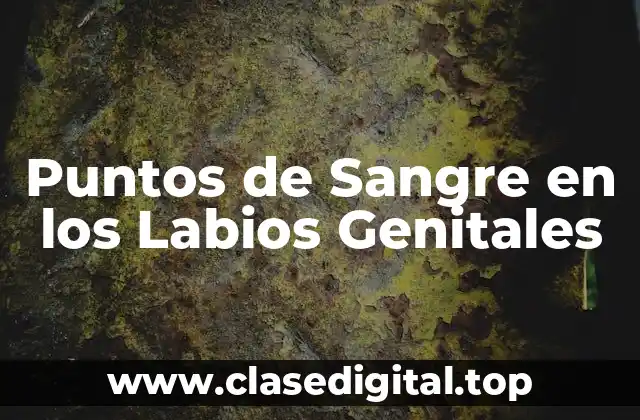 Causas Comunes de los Puntos de Sangre en los Labios Genitales