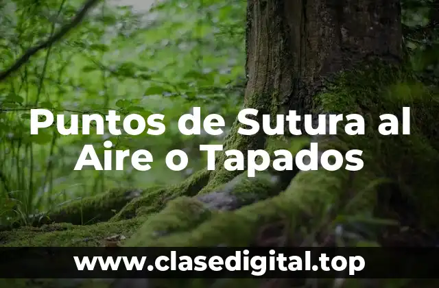 Puntos de Sutura al Aire o Tapados