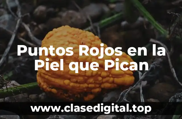 Puntos Rojos en la Piel que Pican