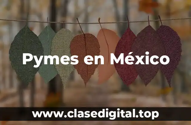 Pymes en México