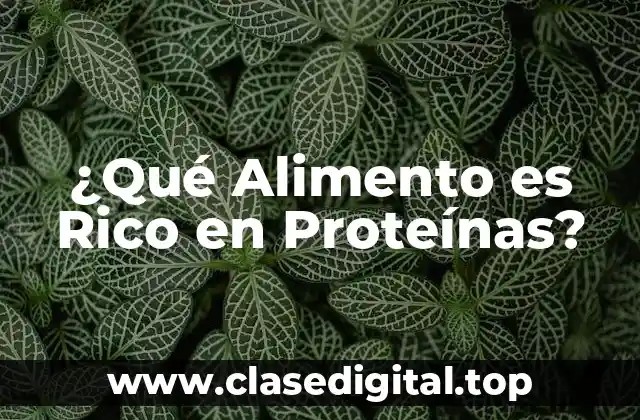 ¿Qué Alimento es Rico en Proteínas?