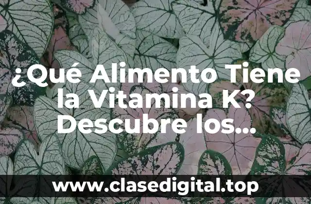 La Importancia de la Vitamina K para la Salud