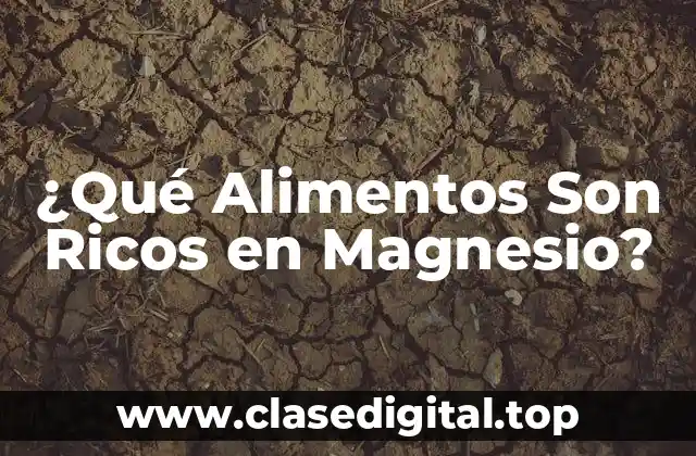¿Qué Alimentos Son Ricos en Magnesio?