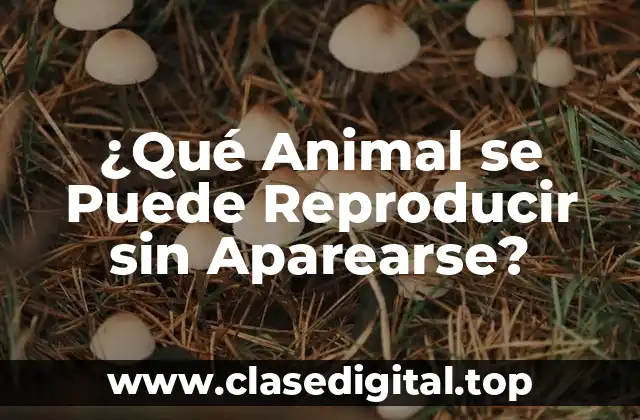 ¿Qué Animal se Puede Reproducir sin Aparearse?