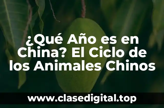 ¿Qué Año es en China? El Ciclo de los Animales Chinos