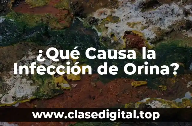 ¿Qué Causa la Infección de Orina?