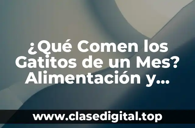 ¿Qué Comen los Gatitos de un Mes? Alimentación y Nutrición para Gatitos Recién Nacidos