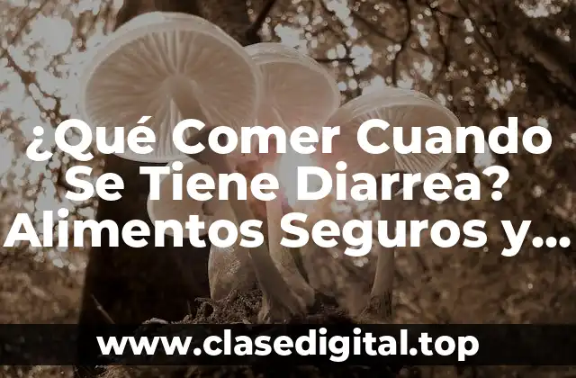 ¿Qué Comer Cuando Se Tiene Diarrea? Alimentos Seguros y Recomendaciones