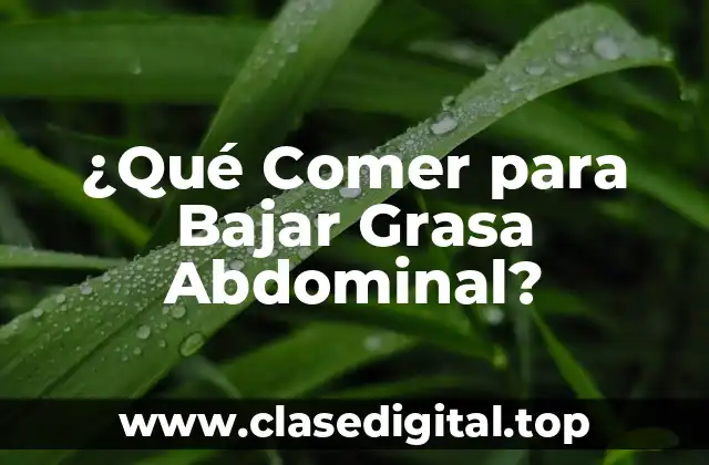 Alimentos Ricos en Fibra para Reducir la Grasa Abdominal