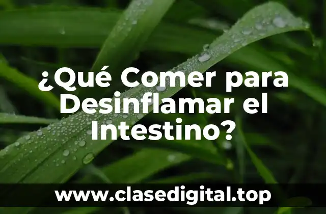 ¿Qué Comer para Desinflamar el Intestino?