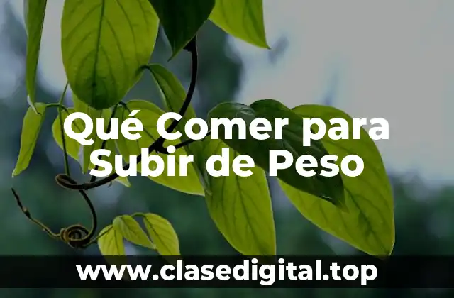 Qué Comer para Subir de Peso