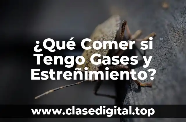 ¿Qué Comer si Tengo Gases y Estreñimiento?