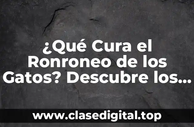 ¿Qué Cura el Ronroneo de los Gatos? Descubre los Secretos