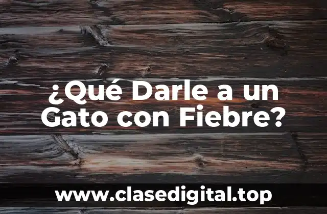 ¿Qué Darle a un Gato con Fiebre?