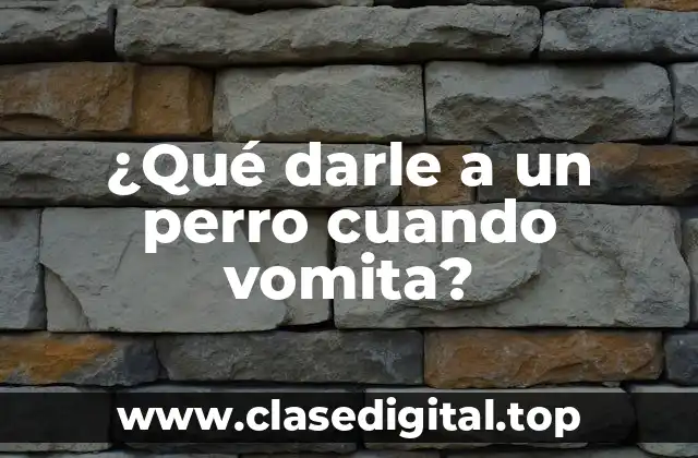 ¿Qué darle a un perro cuando vomita?