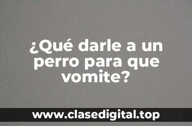¿Cuándo es necesario inducir el vómito en un perro?