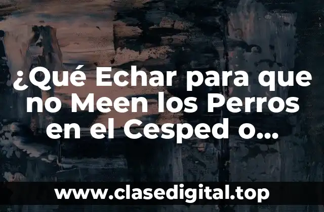Causas por las que los Perros Meen en el Cesped o Jardín
