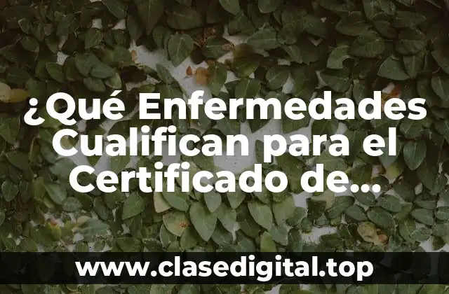 ¿Qué Enfermedades Cualifican para el Certificado de Discapacidad?