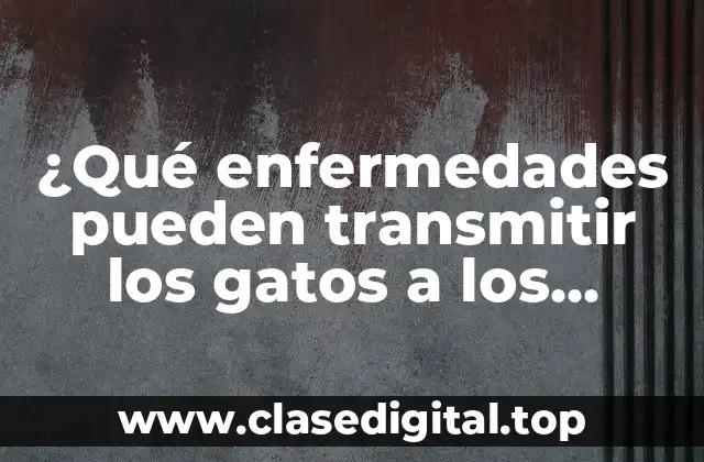 ¿Qué enfermedades pueden transmitir los gatos a los humanos?