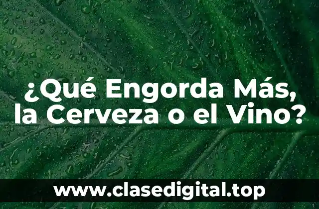 ¿Qué Engorda Más, la Cerveza o el Vino?