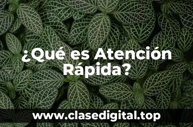 ¿Qué es Atención Rápida?