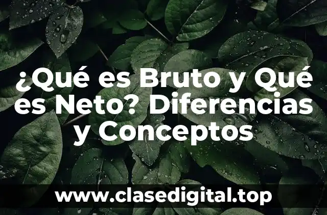 ¿Qué es Bruto y Qué es Neto? Diferencias y Conceptos