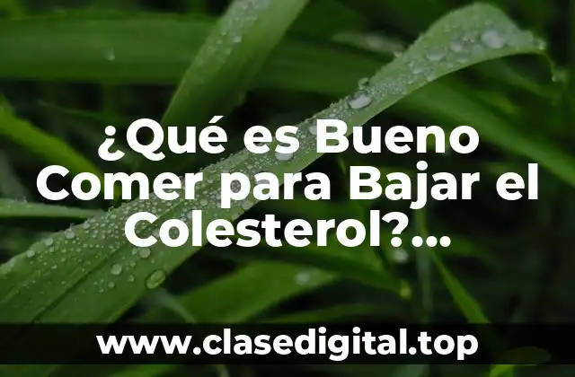¿Qué es Bueno Comer para Bajar el Colesterol? Alimentos y Dieta para Reducir los Niveles de Colesterol