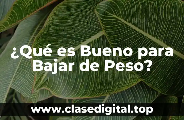 ¿Qué es Bueno para Bajar de Peso?