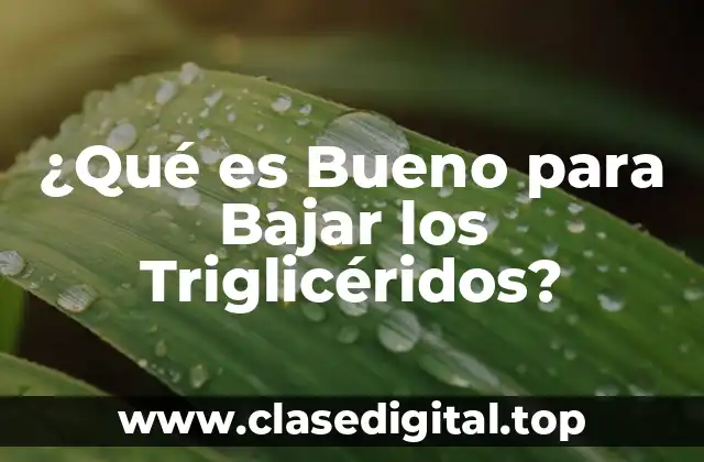 ¿Qué es Bueno para Bajar los Triglicéridos?