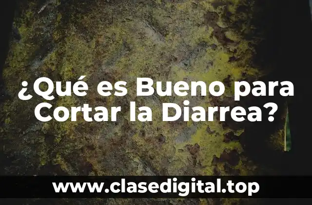 ¿Qué es Bueno para Cortar la Diarrea?