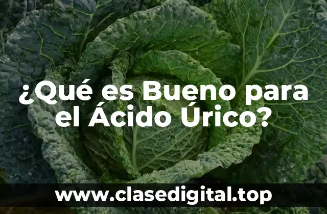 ¿Qué es Bueno para el Ácido Úrico?