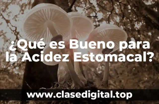 ¿Qué es Bueno para la Acidez Estomacal?