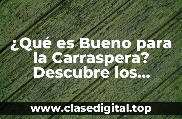 ¿Qué es Bueno para la Carraspera? Descubre los Secretos para una Piel Radiante