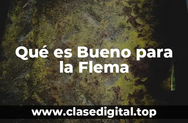 Qué es Bueno para la Flema